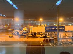 -郑州新郑国际机场-T2航站楼