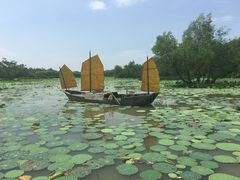 -大湾区中央湿地公园