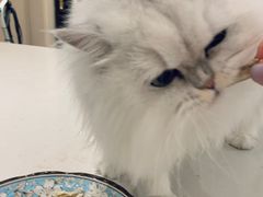 -黄记大闸蟹专卖店·活蟹·醉蟹