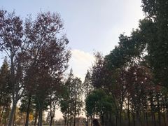 -歌斐颂巧克力小镇