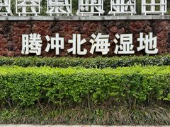 -腾冲北海湿地