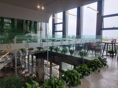 -了不起的考拉咖啡店(高新店)