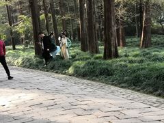 -浙江大学(玉泉校区)