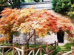 -香山公园