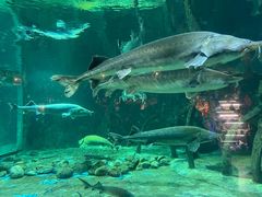 -华夏文旅海洋公园