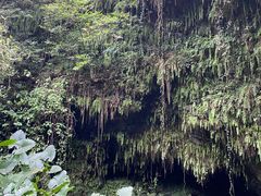 -海口火山口国家地质公园