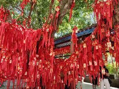 -国恩寺