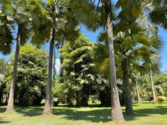 -中国科学院西双版纳热带植物园