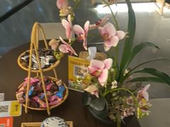 -施奈儿.洗头頭療.按摩SPA.采耳(上梅林店)