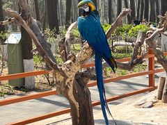 -北京野生动物园