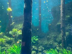 -石家庄海洋公园