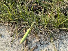 -东钱湖旅游度假区