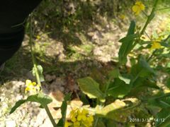 -天宁凯利时尚餐厅