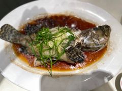 -海儀美食楼(湾仔海鲜街店)