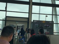 -上海浦东国际机场-T2航站楼