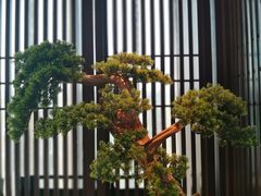 -晓长安·新陕菜(曲江店)