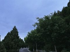 -佛慧山