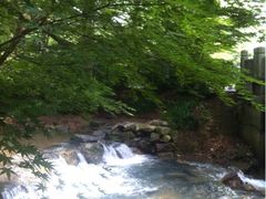 iphone_upload_pic-九溪烟树