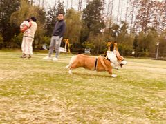 -前小桔亲子创意农场·草莓采摘·露营烧烤