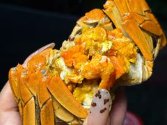 -黄记大闸蟹专卖店·活蟹·醉蟹