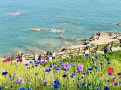 -燕儿岛山公园