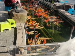 -王興記(中山路店)
