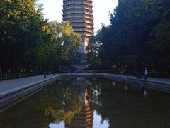 -玲珑塔公园