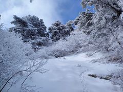 -华山风景名胜区