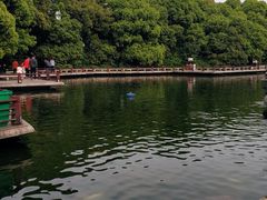 -荆川公园