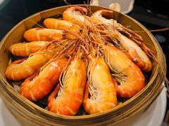 白灼罗氏虾-炳胜品味(海印总店)