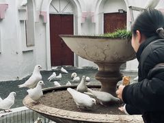 -乐山第一家临江鳝丝(茶坊路店)