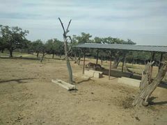 景点-西安秦岭野生动物园