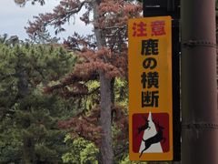 -奈良公园