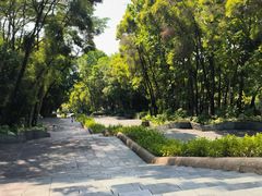 -深圳国际园林花卉博览园