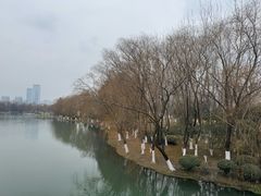 -滨湖塘西河公园