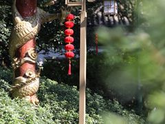 -杭州黄龙洞