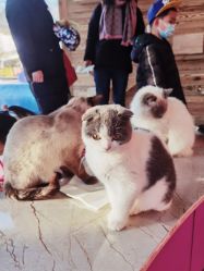 -萌宠亲子动物乐园(槐房万达店)