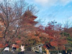 -有栖山 清光院 清水寺