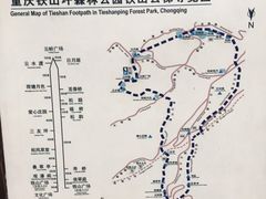 -铁山坪森林公园