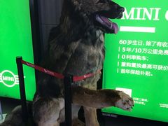 -卢米埃影城(住总万科杜比全景声激光店)