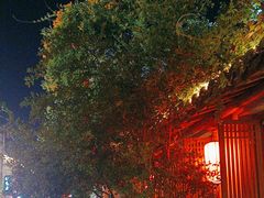 -鲤院·新中式美学·庭院餐厅(夫子庙店)