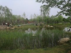-东坝千亩湖公园