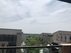 -上海崇明金茂凯悦酒店