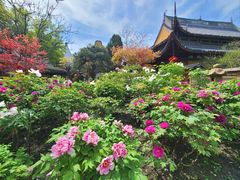 -龙华寺