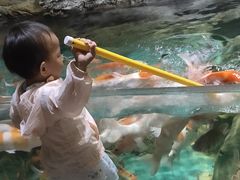 -多彩贵州城极地海洋世界