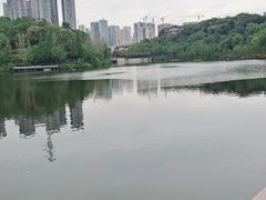 -重庆彩云湖湿地公园