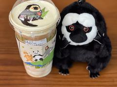 -ZOO COFFEE动物园咖啡(红山森林动物园店)