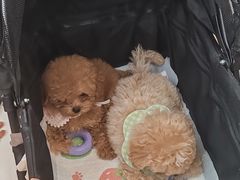 -汇德隆银隆