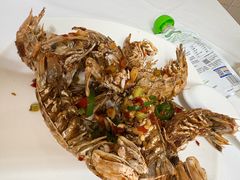 椒盐濑尿虾-阳江餐厅·26年老字号·粤菜海鲜大排档