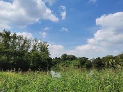 -西溪国家湿地公园